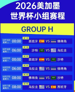 2026世界杯 比赛用球与球场